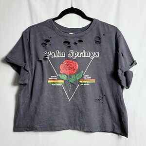 🖤5/$20🖤 VIBE N.. Palm Springs.. cropped, distressed tee..